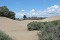 Dunas Maspalomas