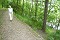 Park pod hradbami