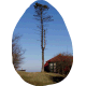 Panorama 4